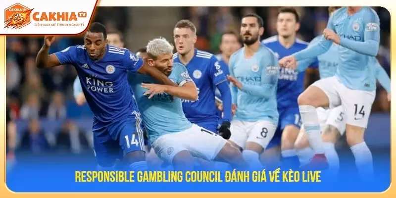 Responsible Gambling Council đánh giá về kèo live