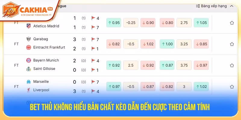 Cách tiếp cận kèo hợp lý hơn cho Newbie 