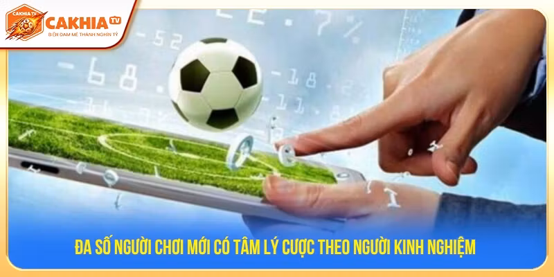 Đa số người chơi mới có tâm lý cược theo người kinh nghiệm 