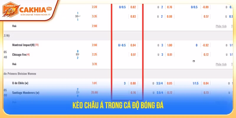 Tỷ lệ kèo châu Á khi chơi cá độ bóng đá 