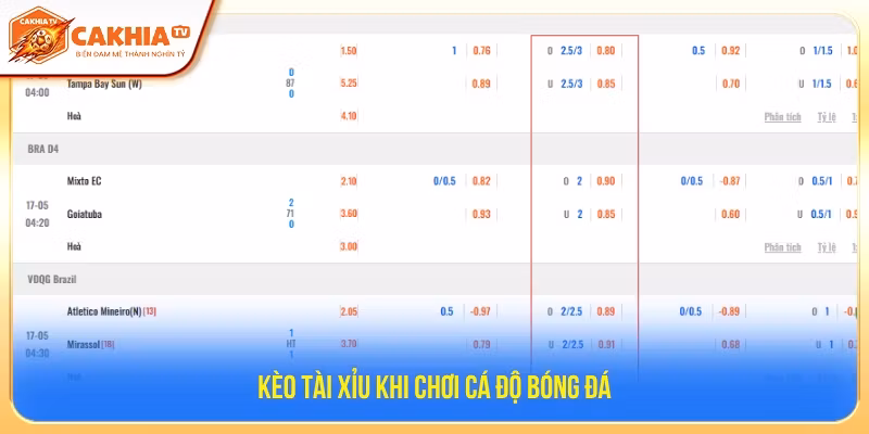 Đặt cược kèo tài xỉu khi cược bóng đá 