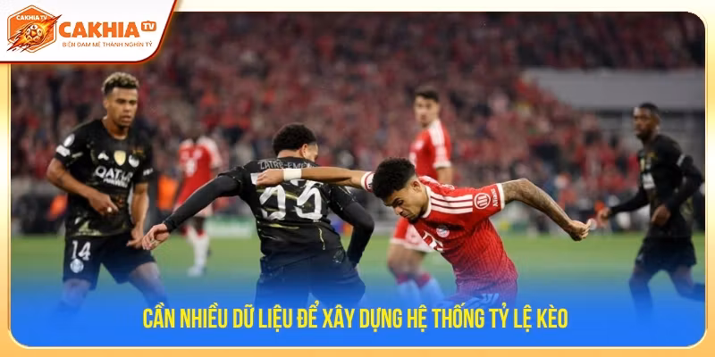 Muốn xây dựng odds cần lượng dữ liệu lớn 