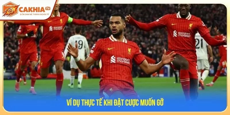 Ví dụ thực tế khi đặt cược muốn gỡ